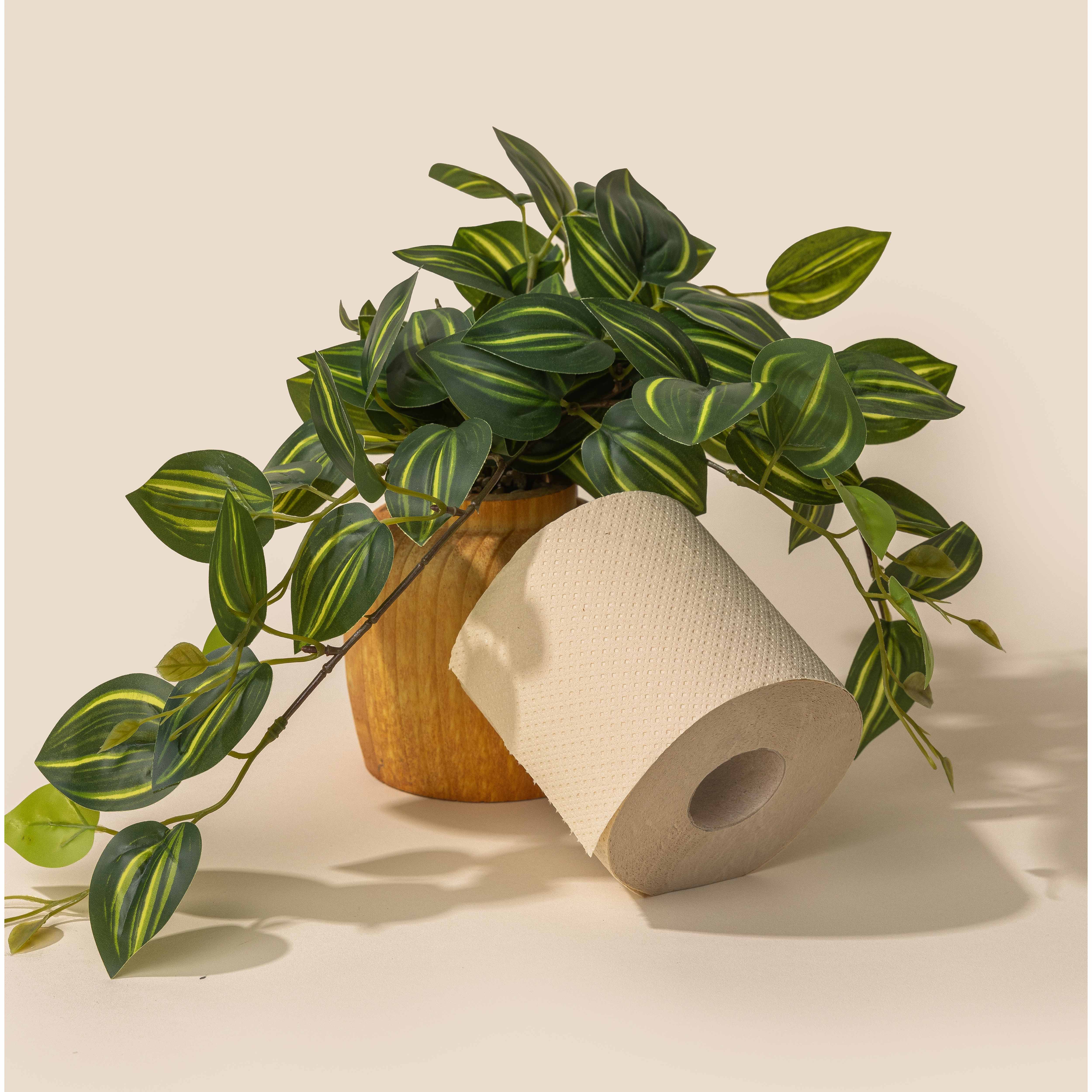 A Guide to Vegan Toilet Paper: Choose Better, Skip Hidden Additives