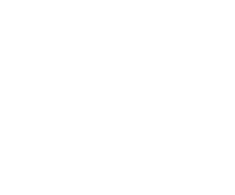 Wythout by Wype